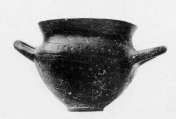 CUP (VEIAN)