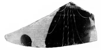 AMPHORA, BELLY, FRAGMENT (ATHENIAN, BLACK-FIGURE)
