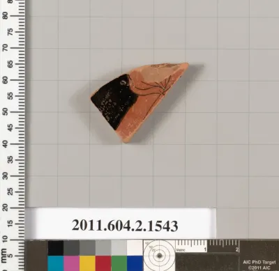 Terracotta fragment of a skyphos (deep drinking cup)