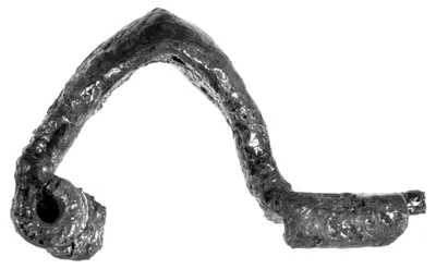 Four Fragmentary Fibulae