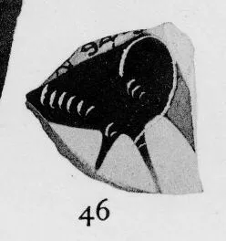 CUP, LITTLE MASTER BAND, FRAGMENT (ATHENIAN, BLACK-FIGURE)