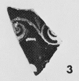 SKYPHOS, FRAGMENT (ATHENIAN, RED-FIGURE)