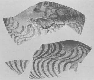 AMPHORA, BELLY, FRAGMENTS (EAST GREEK, FIKELLURA)
