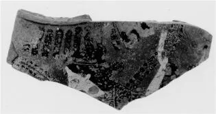 AMPHORA, NECK, FRAGMENT (ATHENIAN, BLACK-FIGURE)