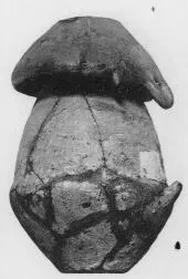 URN (VILLA NOVA)
