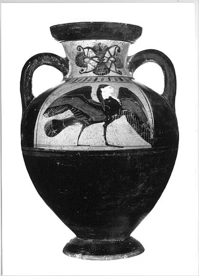 amphore