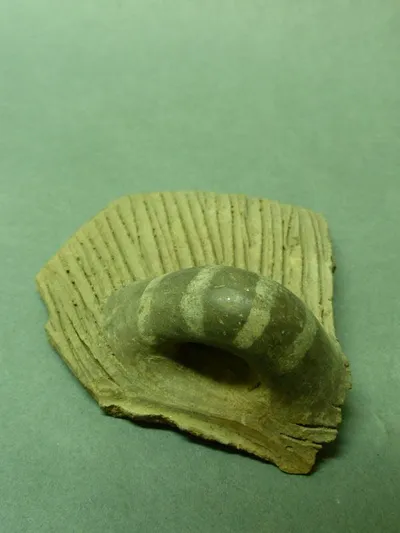 couvercle ; fragment