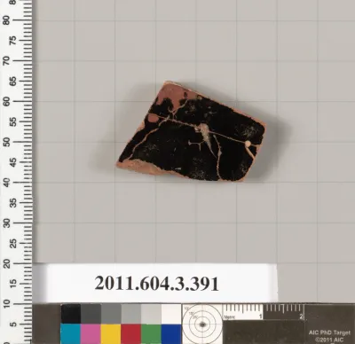 Terracotta fragment of a neck-amphora (jar)