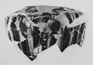HYDRIA, FRAGMENT (ATHENIAN, BLACK-FIGURE)