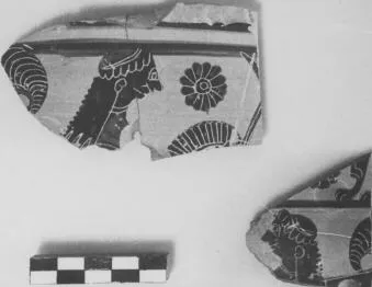 CHALICE, FRAGMENTS (ATHENIAN, BLACK-FIGURE)