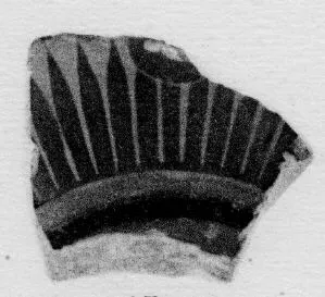 CUP, FRAGMENT (ATHENIAN, BLACK-FIGURE)