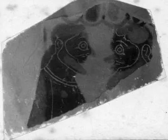 AMPHORA, NECK, FRAGMENT (ATHENIAN, BLACK-FIGURE)