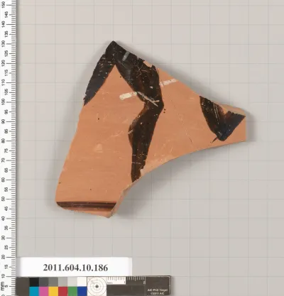Terracotta fragment of a closed shape