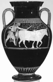 AMPHORA, BELLY, TYPE A (ATHENIAN, RED-FIGURE)