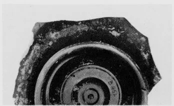 CUP, FRAGMENT (ATHENIAN, RED-FIGURE)