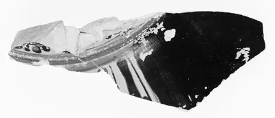 Attic Panathenaic Amphora Fragment (comprised of 2 joined fragments)