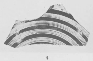 CUP DROOP, FRAGMENT (ATHENIAN, BLACK-FIGURE)