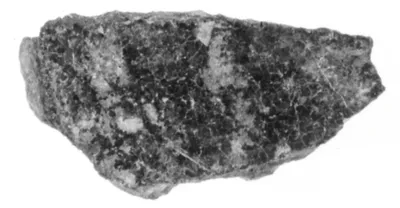 Undecorated Base Fragments