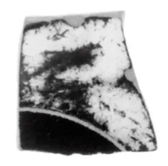 Attic Black-Figure Eye Cup Fragment