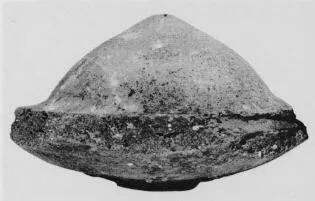 INCENSE BURNER (MINOAN)