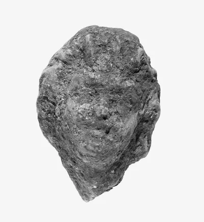 Head of a Boy(?)