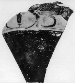 AMPHORA, NECK, FRAGMENT (ATHENIAN, BLACK-FIGURE)