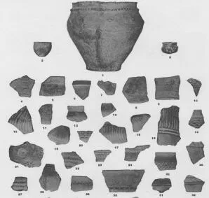 FRAGMENTS (GALLIC)